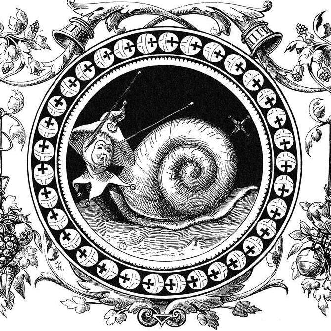 A snail-fool